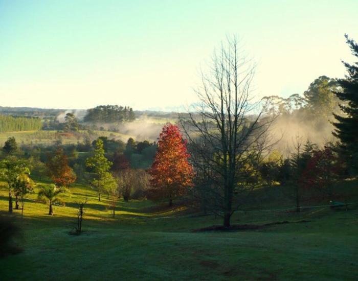 Puketotara Lodge Kerikeri Exterior foto